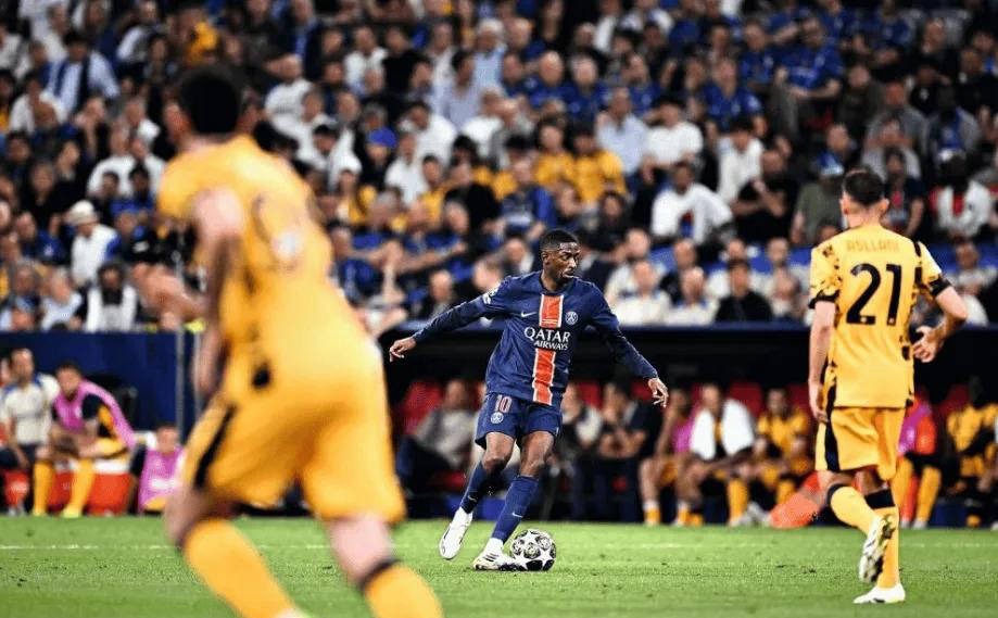 充满活力的 充满活力的